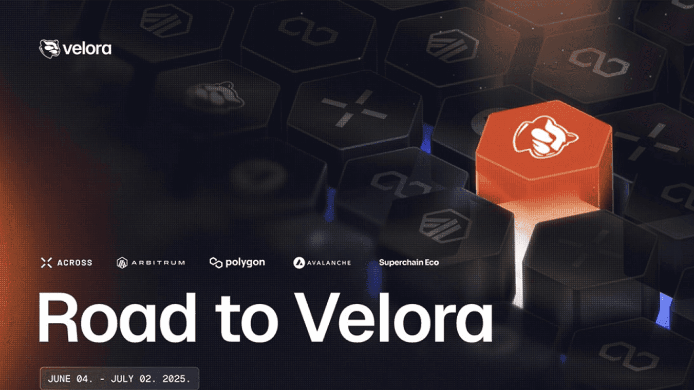 Velora work 5